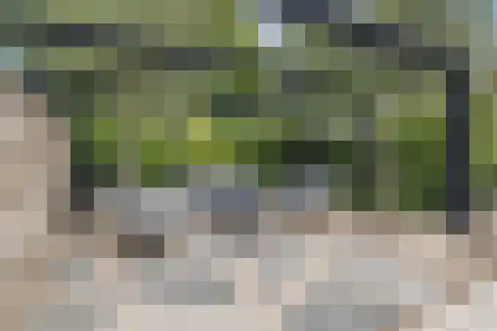 Zandhaai 1 A Eindhoven thumbnail 61