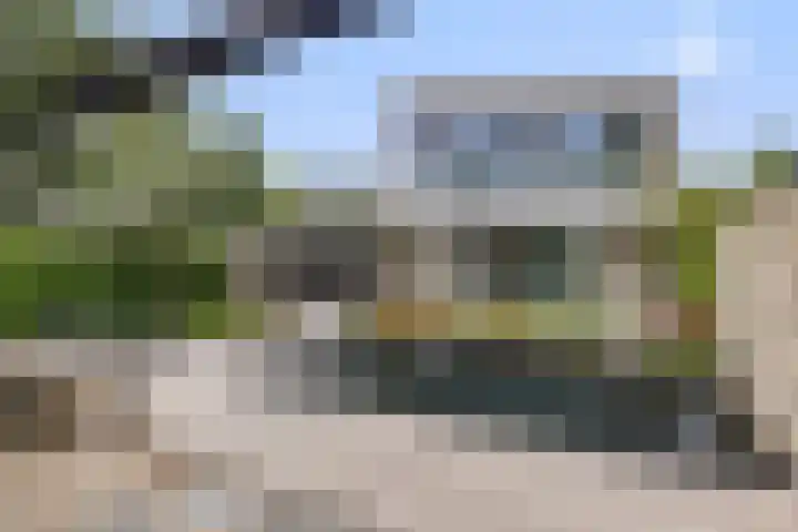 Zandhaai 1 A Eindhoven thumbnail 63