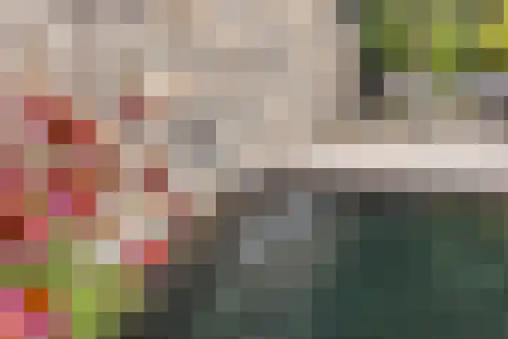 Zandhaai 1 A Eindhoven thumbnail 64