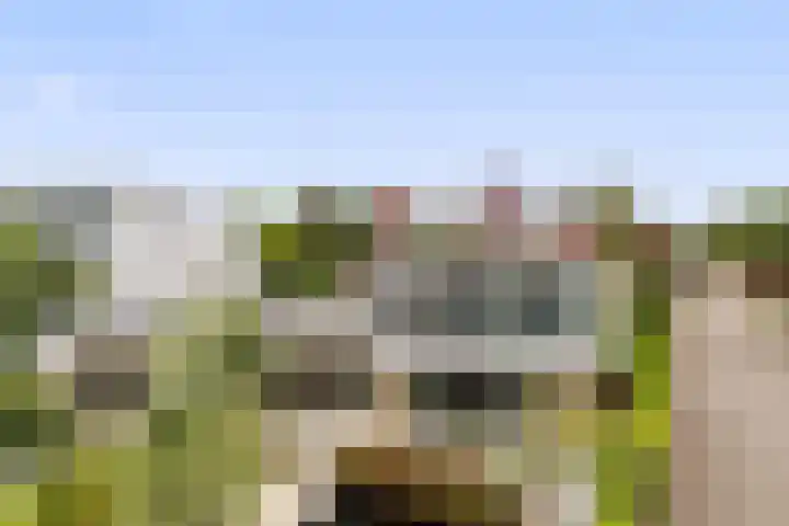 Zandhaai 1 A Eindhoven thumbnail 67