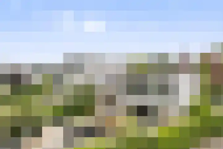 Zandhaai 1 A Eindhoven thumbnail 68