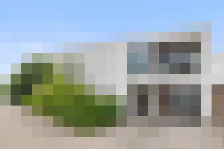 Zandhaai 1 A Eindhoven thumbnail 69