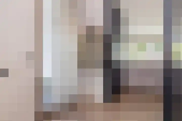 Zandhaai 1 A Eindhoven thumbnail 7