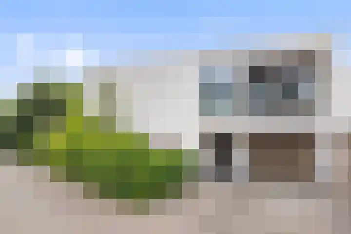 Zandhaai 1 A Eindhoven thumbnail 70