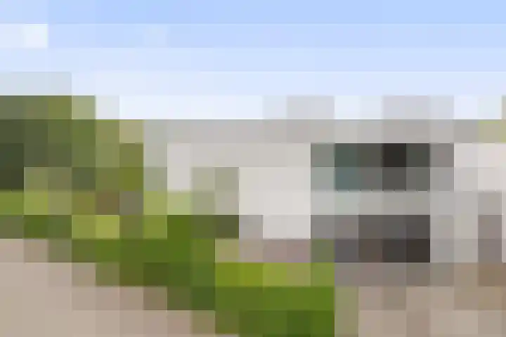 Zandhaai 1 A Eindhoven thumbnail 72