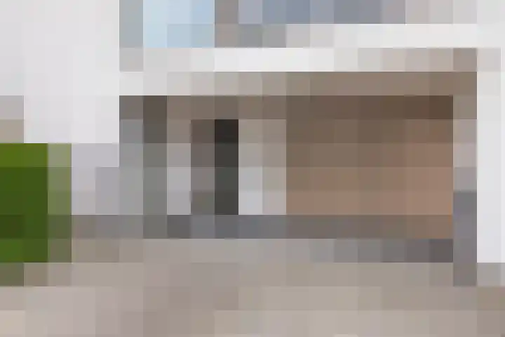 Zandhaai 1 A Eindhoven thumbnail 73