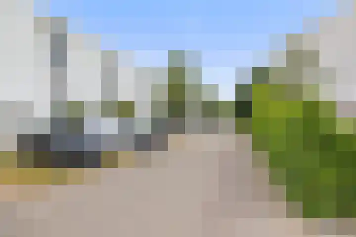 Zandhaai 1 A Eindhoven thumbnail 74