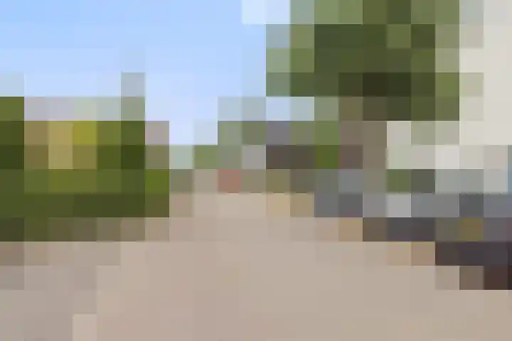 Zandhaai 1 A Eindhoven thumbnail 75