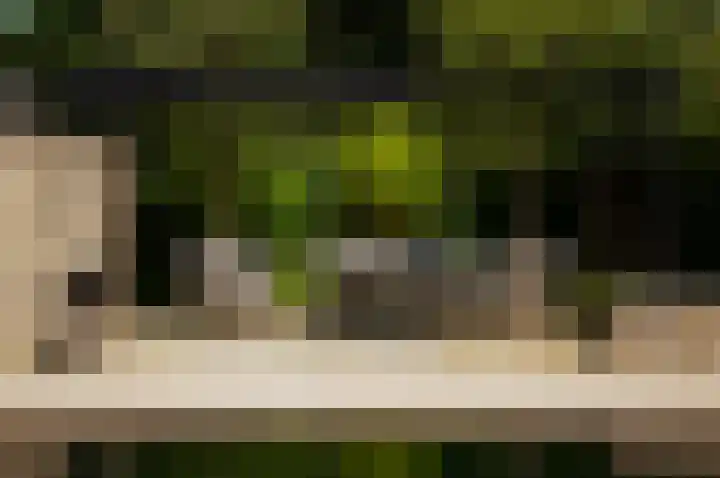 Zandhaai 1 A Eindhoven thumbnail 76
