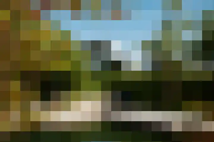 Zandhaai 1 A Eindhoven thumbnail 77