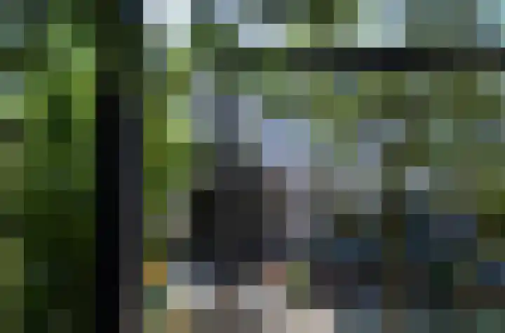 Zandhaai 1 A Eindhoven thumbnail 78