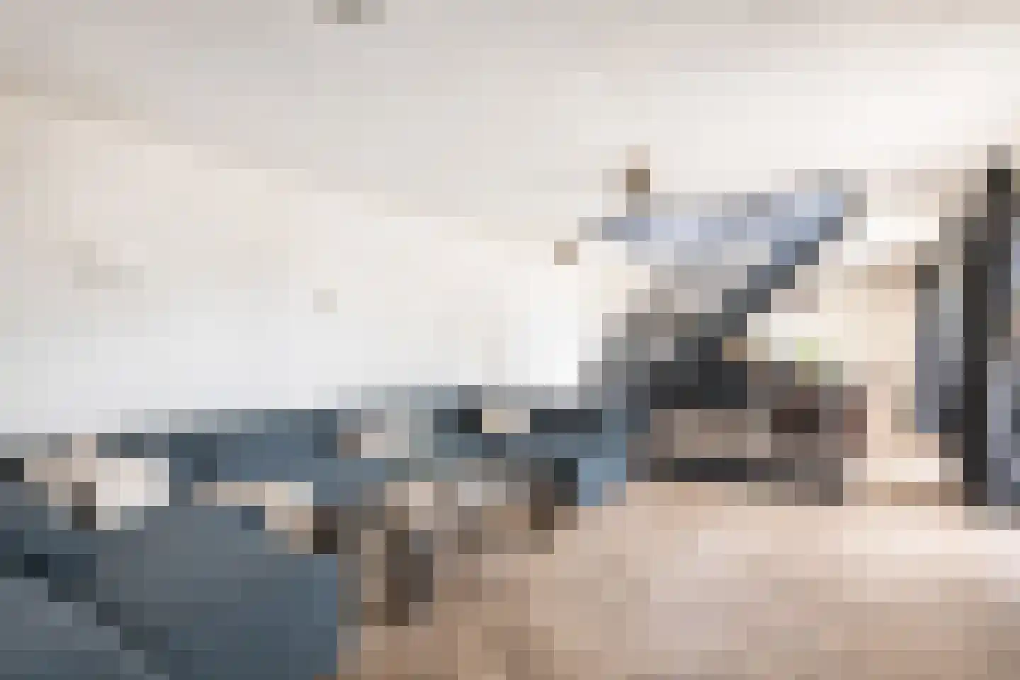 Zandhaai 11 Eindhoven thumbnail 18