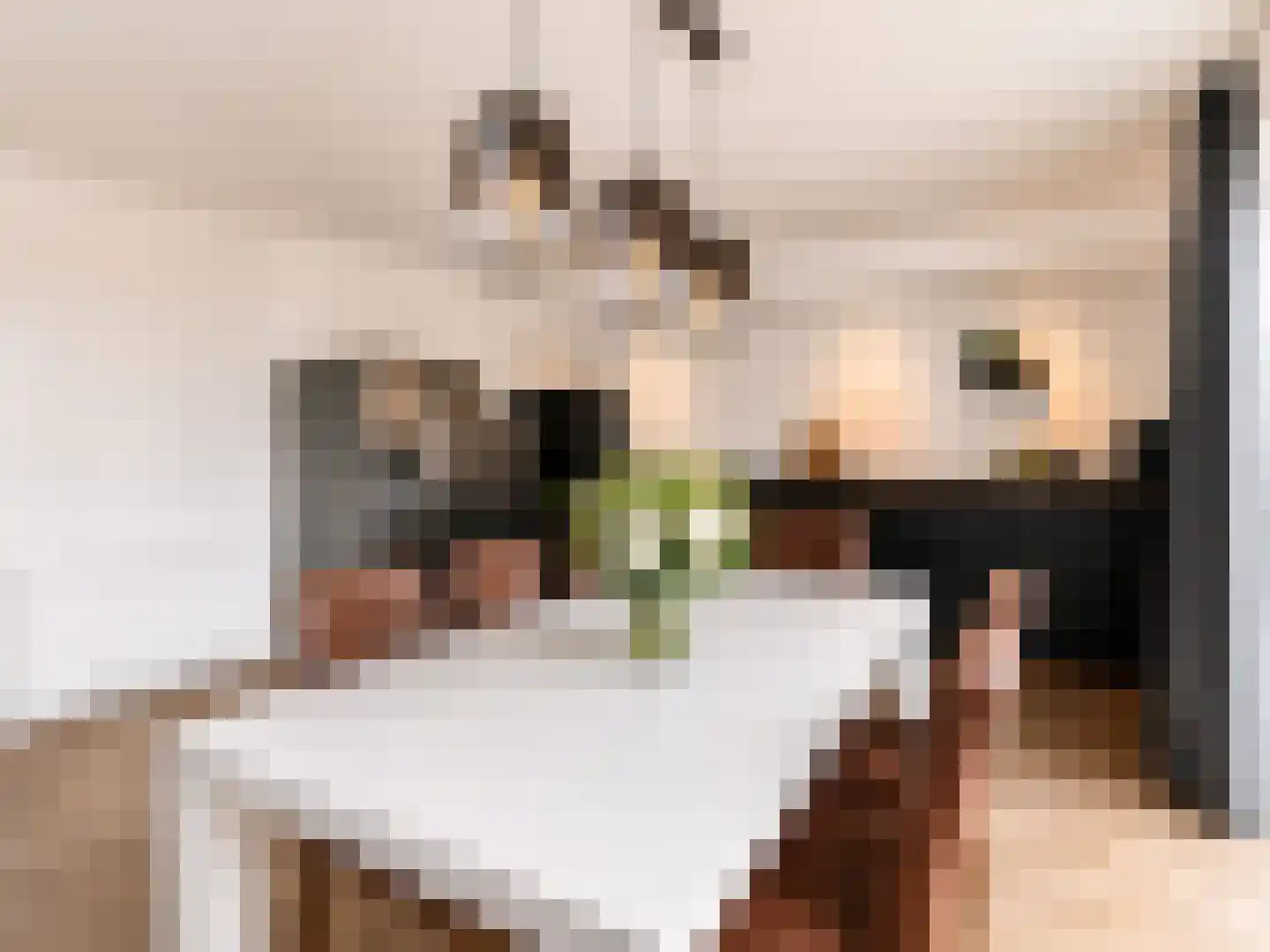 Zandhaai 11 Eindhoven thumbnail 19
