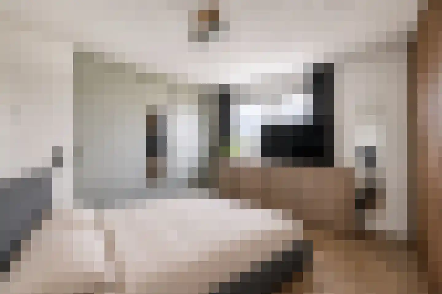 Zandhaai 11 Eindhoven thumbnail 28