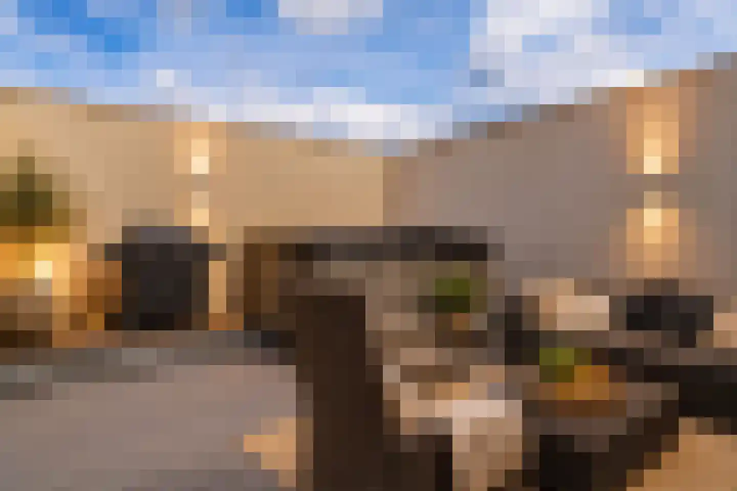 Zandhaai 11 Eindhoven thumbnail 30