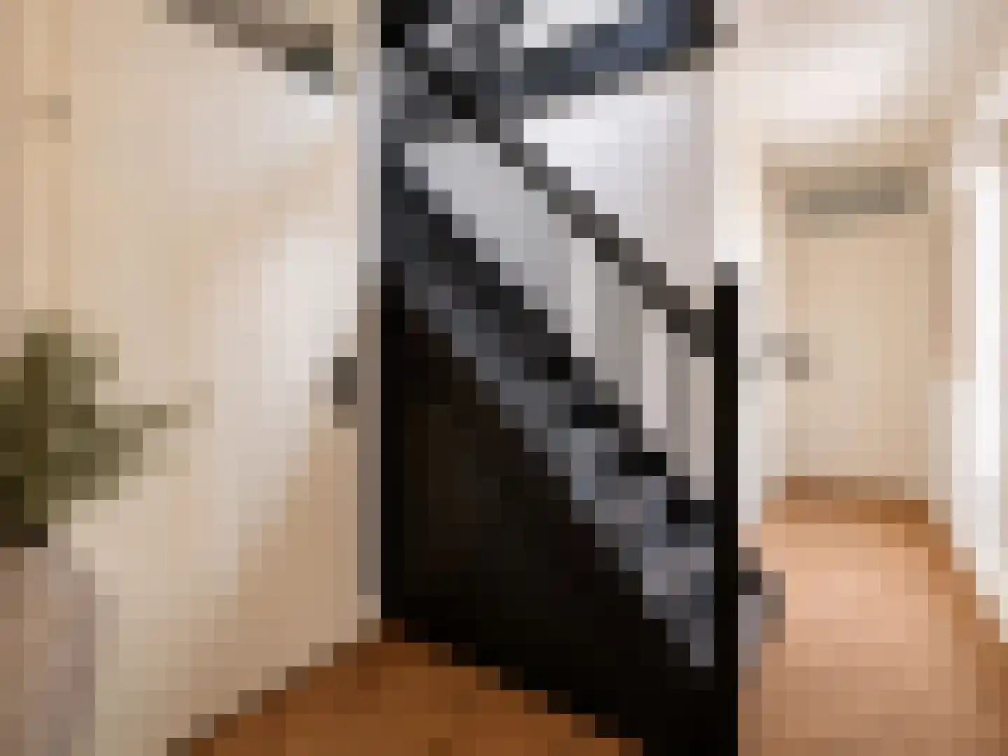 Zandhaai 11 Eindhoven thumbnail 6