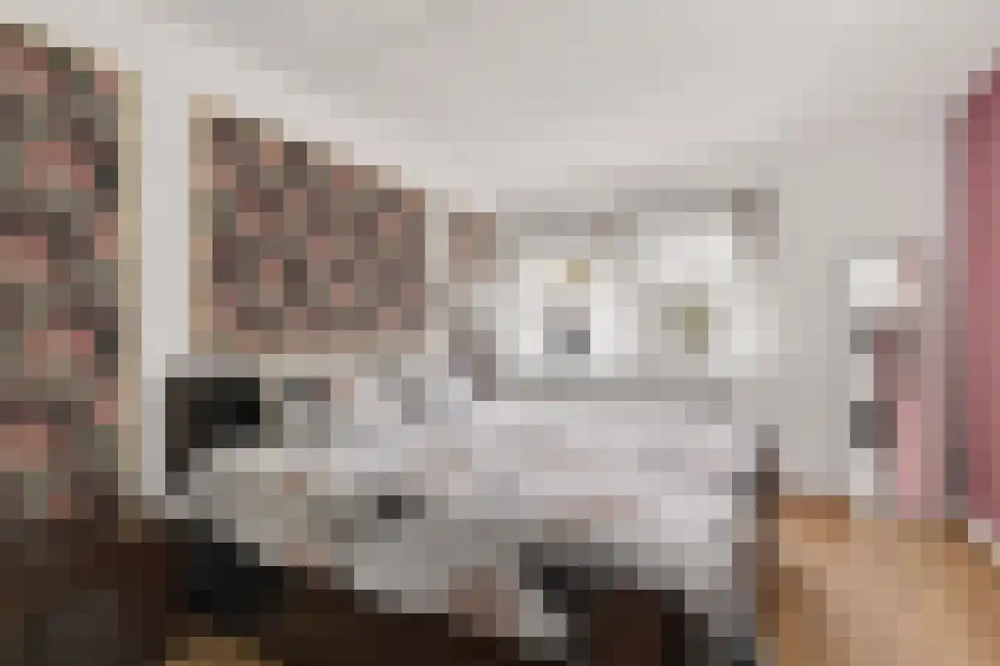 Zandhaai 32 Eindhoven thumbnail 19