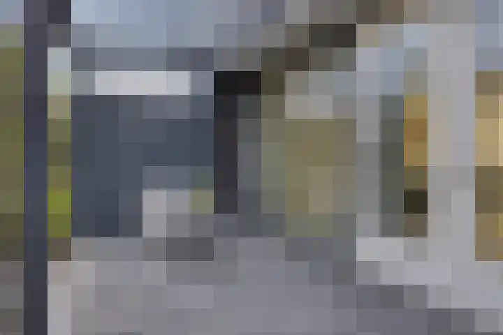 Zandhaai 56 Eindhoven thumbnail 10