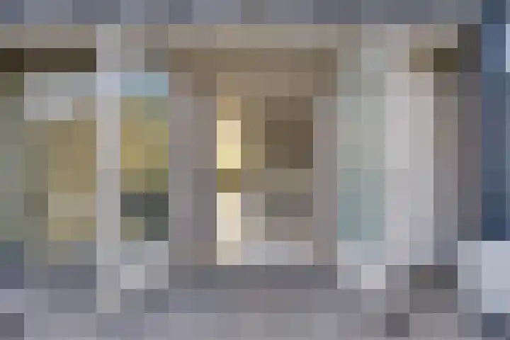 Zandhaai 56 Eindhoven thumbnail 11