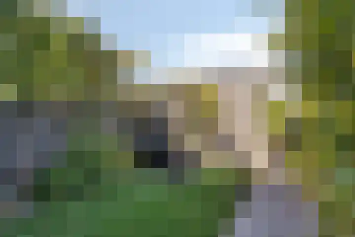Zandhaai 56 Eindhoven thumbnail 12