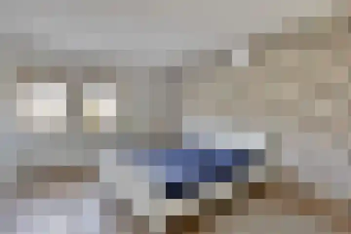 Zandhaai 56 Eindhoven thumbnail 15