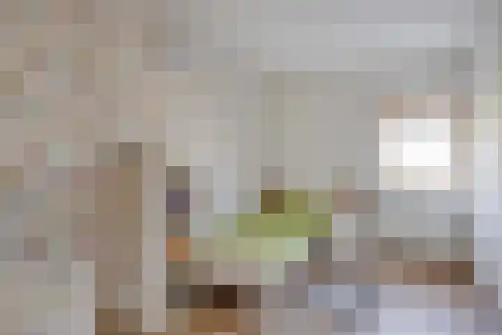 Zandhaai 56 Eindhoven thumbnail 16