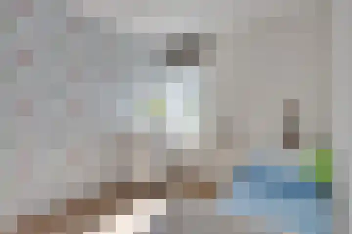 Zandhaai 56 Eindhoven thumbnail 17