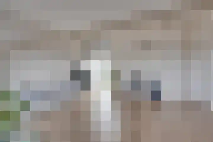 Zandhaai 56 Eindhoven thumbnail 22