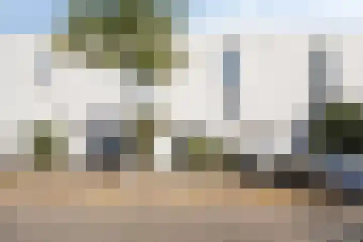 Zandhaai 56 Eindhoven thumbnail 23