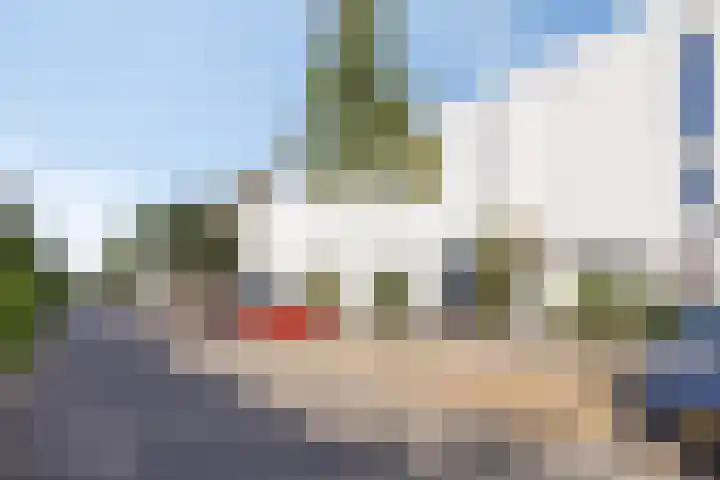 Zandhaai 56 Eindhoven thumbnail 24