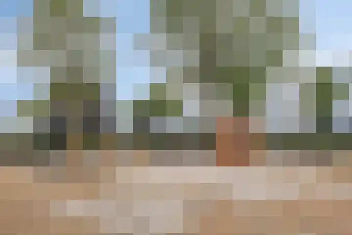 Zandhaai 56 Eindhoven thumbnail 25