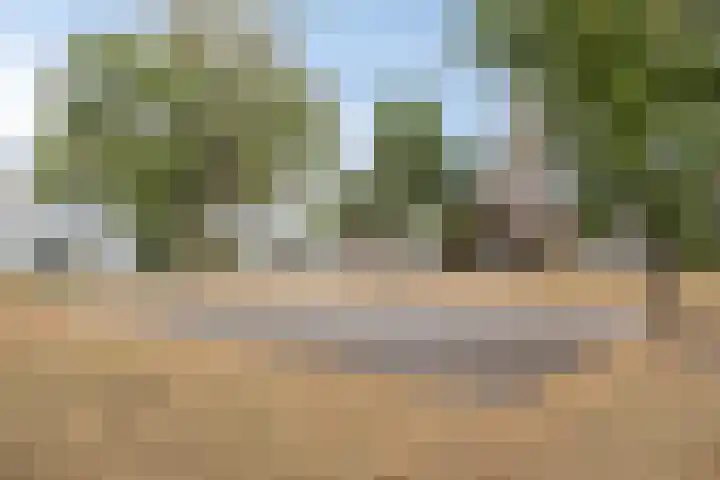 Zandhaai 56 Eindhoven thumbnail 26