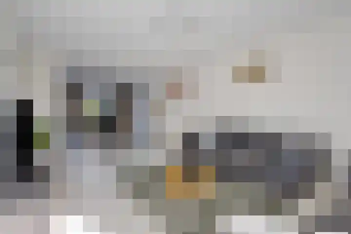 Zandhaai 56 Eindhoven thumbnail 4