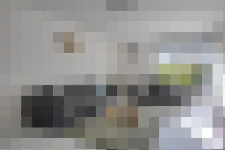 Zandhaai 56 Eindhoven thumbnail 5