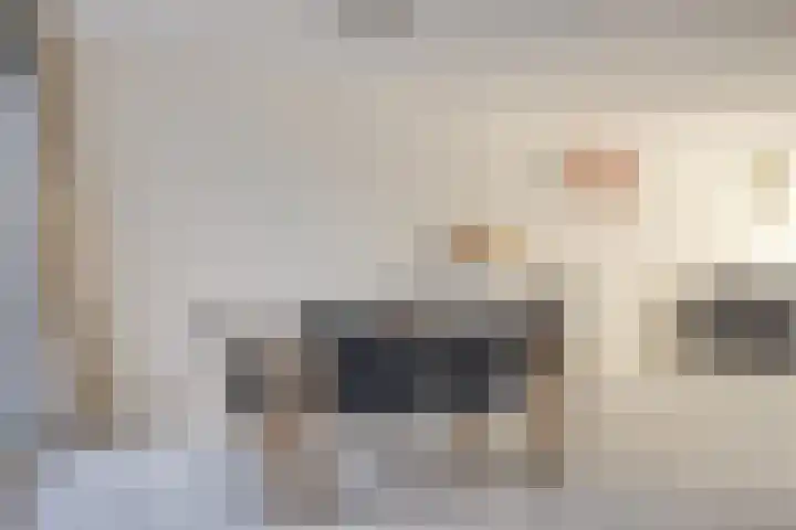 Zandhaai 56 Eindhoven thumbnail 6