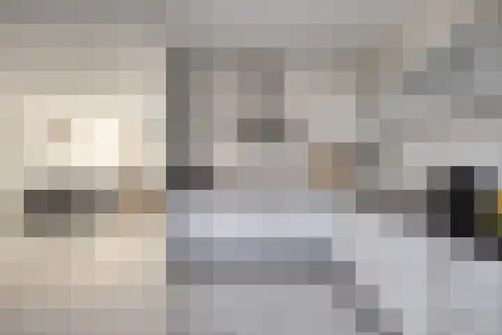 Zandhaai 56 Eindhoven thumbnail 8