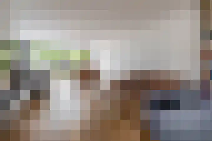 Zandhaai 58 Eindhoven thumbnail 10