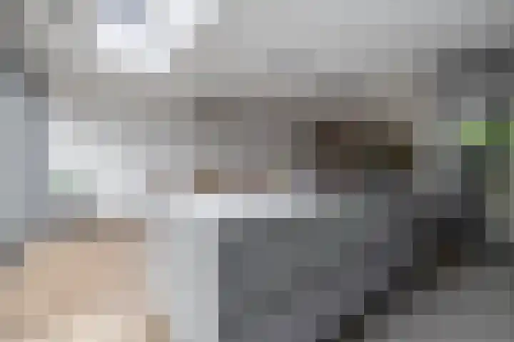 Zandhaai 58 Eindhoven thumbnail 11