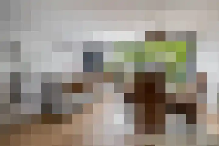 Zandhaai 58 Eindhoven thumbnail 12