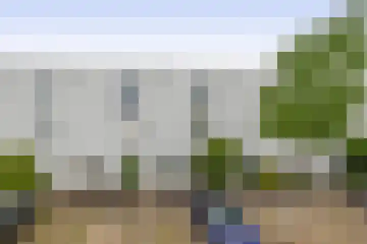Zandhaai 58 Eindhoven thumbnail 13