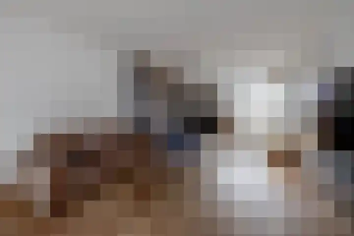 Zandhaai 58 Eindhoven thumbnail 18