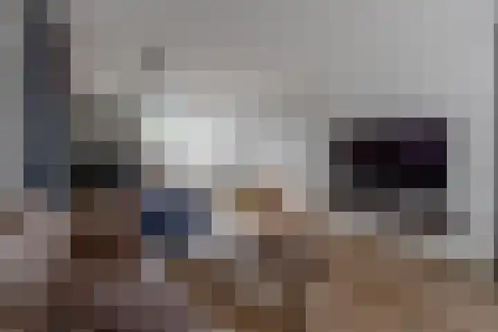 Zandhaai 58 Eindhoven thumbnail 19