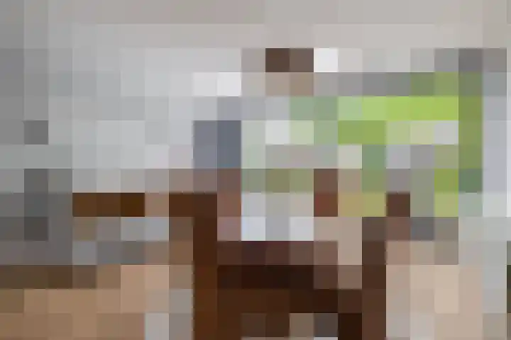 Zandhaai 58 Eindhoven thumbnail 20