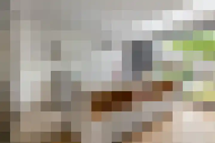 Zandhaai 58 Eindhoven thumbnail 21