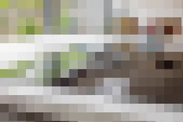 Zandhaai 58 Eindhoven thumbnail 25