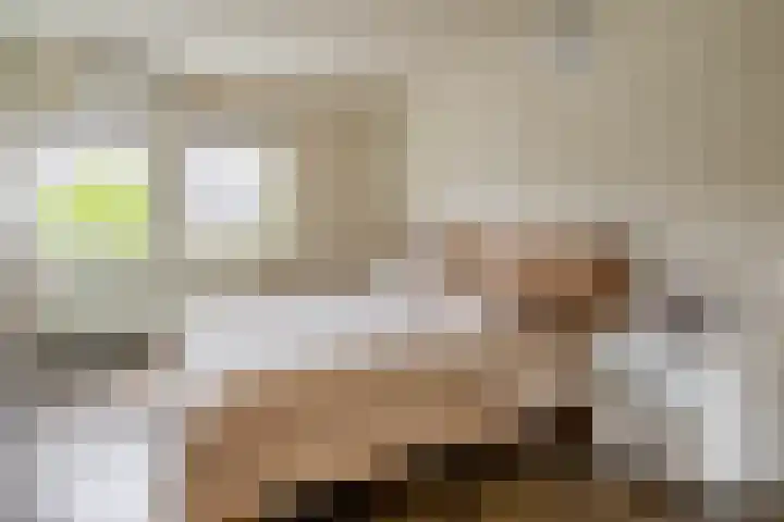 Zandhaai 58 Eindhoven thumbnail 29