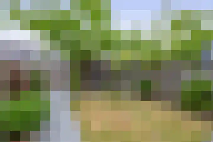 Zandhaai 58 Eindhoven thumbnail 42