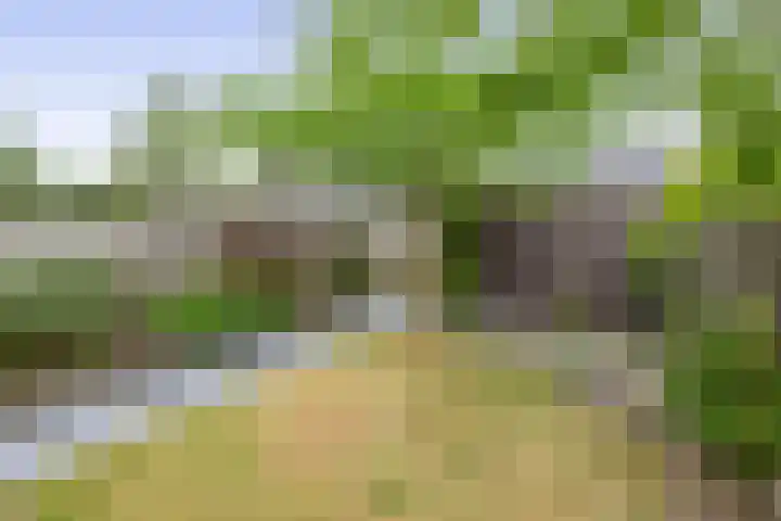 Zandhaai 58 Eindhoven thumbnail 43