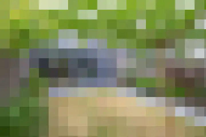 Zandhaai 58 Eindhoven thumbnail 45