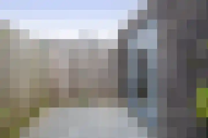 Zandhaai 58 Eindhoven thumbnail 46